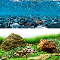 Аквариумный фон двухсторонний Горная река/зеленое море 80см*15м (цена за 1 метр)